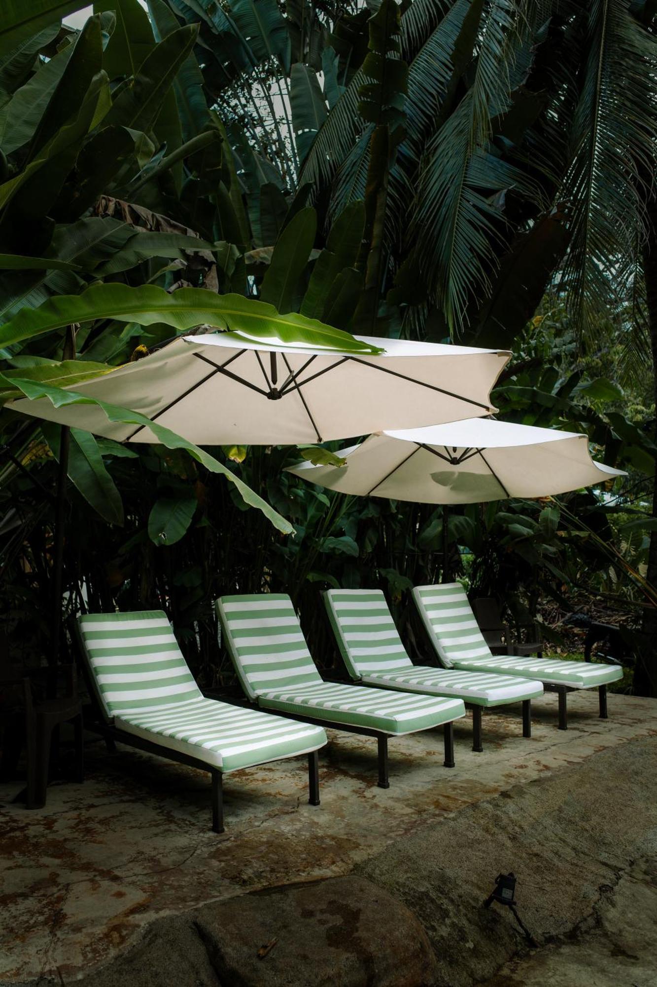 Puerto Viejo de Talamanca Conga Boutique Hotel מראה חיצוני תמונה
