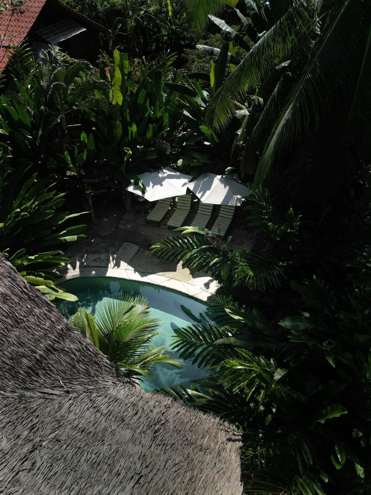 Puerto Viejo de Talamanca Conga Boutique Hotel מראה חיצוני תמונה